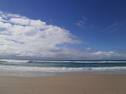 Beach and ocean in Surfers Paradise