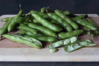 Gourganes from a greenhouse Gourganes Naturo.jpg