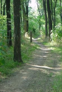 Crosstimbers horse trail