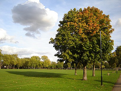 How to get to Hackney Downs with public transport- About the place