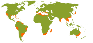Ведущие регионы — производители цитрусовых[18]