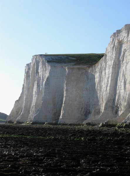 File:Haven Brow (Seven Sister) - geograph.org.uk - 1273075.jpg