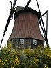 Stallion Location Windmühle.JPG