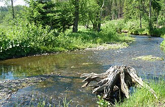 Mäander der Heve im Arnsberger Wald