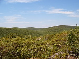 Mount Frissell vanaf Bear Mountain