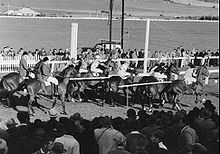A strand barrier start of a horse race in South Australia in 1952 Horseracestart1952.jpg