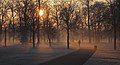 Hyde Park Fog (30988869).jpeg