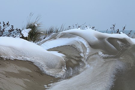 Il movimento delle dune Dune degli Alberoni- Venezia (VE) Scatto di: FILLI76