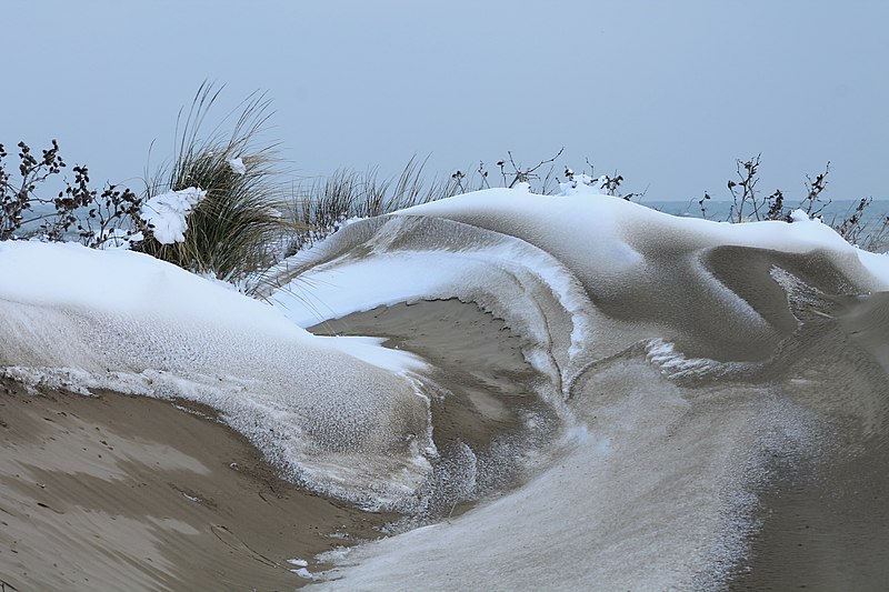 File:Il movimento delle dune.jpg