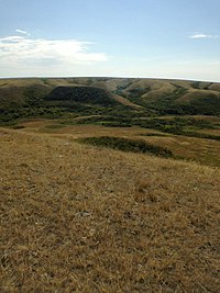 The buffalo jump at Coal Mine Creek coulee near Herschel and the Ancient Echoes Interpretive Centre Image of the buffalo jump at Ancient Echoes Interpretive Centre in 2017.jpg