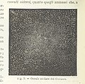Image taken from page 30 of 'La Terra, trattato popolare di geografia universale per G. Marinelli ed altri scienziati italiani, etc. (With illustrations and maps.)' (11149554683).jpg
