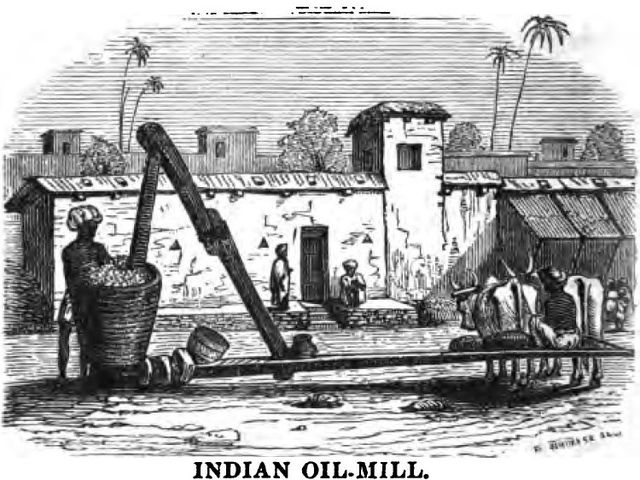 Icon india oil para que sirve