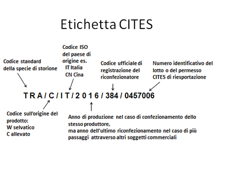 Caviale: Etimologia, Definizione commerciale, Come si ottiene