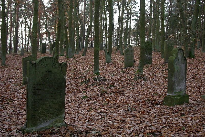 File:Jüdischer Friedhof Dannenberg.jpg