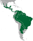 Jaguarundi area.png