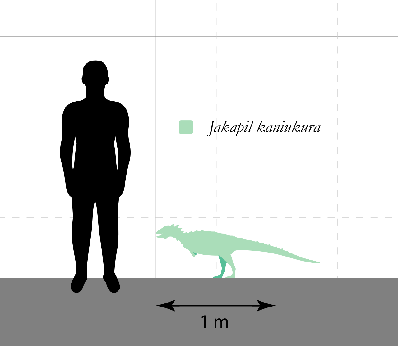 1280px-Jakapil_Size_Comparison.svg.png