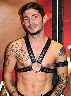 Johnny Hazzard American pornographic film actor (born 1977)