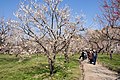 2019年3月10日 (日) 14:09時点における版のサムネイル