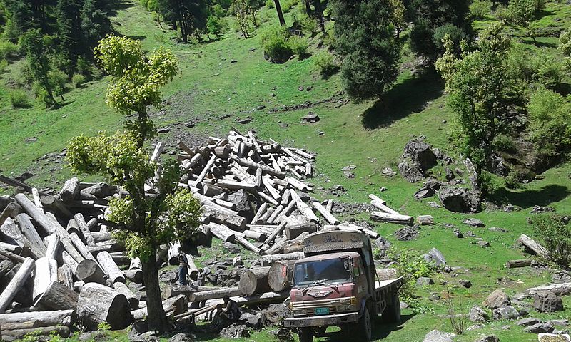 File:Kashmir Logging.jpg