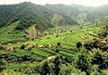 Khaledafridi-min-smukke-landsby-tirah-valley-khyber-agency-fata1.jpg