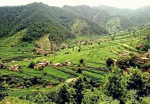 The Tirah Valley is verdant. Khaledafridi-my-beautiful-village-tirah-valley-khyber-agency-fata1.jpg