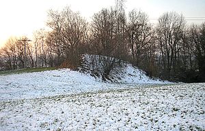 Burgstall Fuchsberg – Ansicht des Burgstalls von Osten