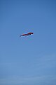 * Nomination: A kite flying over the Pasinger Landschaftspark in Munich, Bavaria --Kritzolina 15:39, 7 September 2023 (UTC) * * Review needed