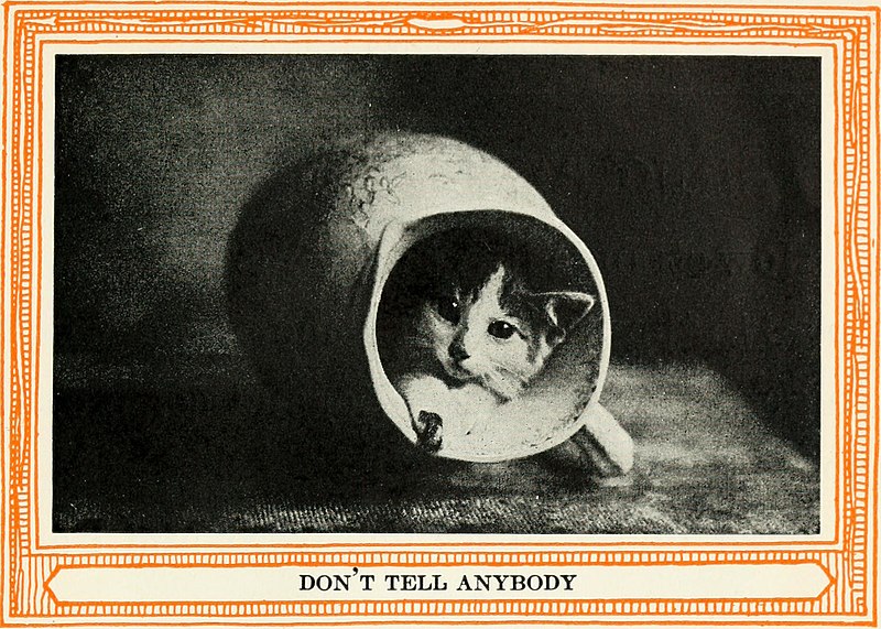 File:Kittens and cats; a book of tales (1911) (14566395898).jpg