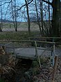 Kleiner Bachlauf im Wald Am Frühlingsberg in Wilthen.JPG