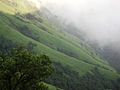 Kodachadri Hills ( Trekking)