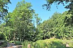 Geschützter Landschaftsbestandteil Waldwiesen Selbecker Bach