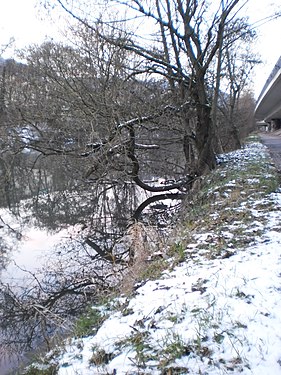 bank of Lahn in Marburg, Baumspiegelung in der nahen Lahn (Foto Januar 2017), rechts die lange Wall.