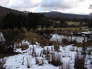 Tasmania