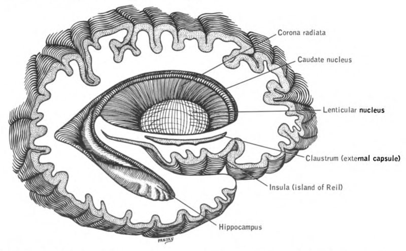 File:Lawrence 1960 2.10.png