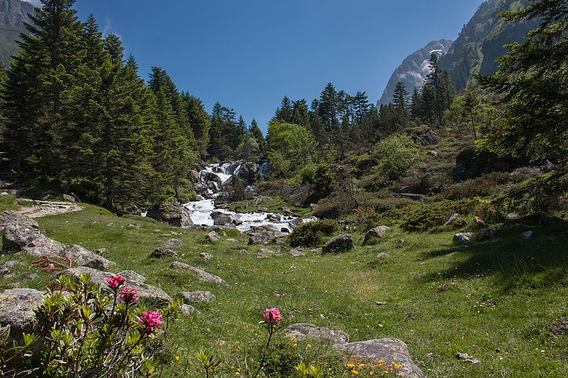 File:Le printemps au pont d'Espagne.jpg