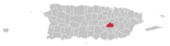 Lokalizator-mapa-Puerto-Rico-Cidra.svg