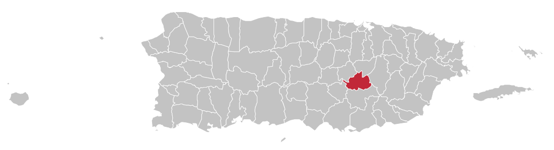 File:Locator-map-Puerto-Rico-Cidra.svg