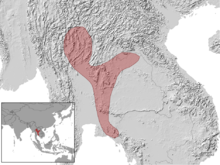 Lygosoma haroldyoungi distribution.png