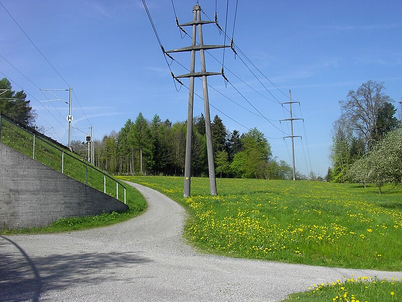 File:Mörschwil - panoramio - Rene Nueesch (5).jpg