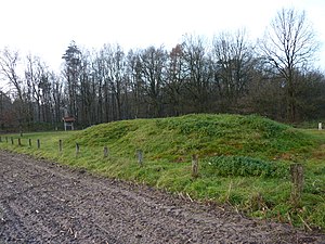 Großsteingrab Mander