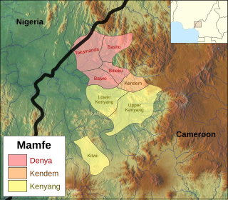 <span class="mw-page-title-main">Mamfe languages</span>