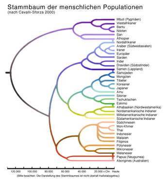 Antropología Población