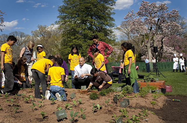 What we learned in the garden with former White House chef and