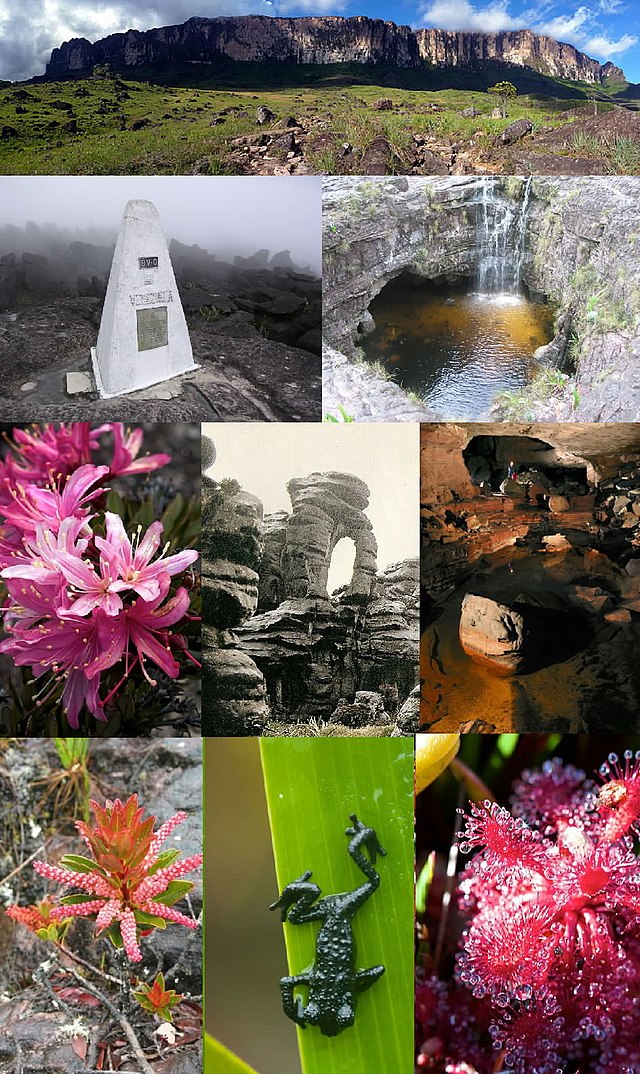 Mont Roraima - Brazil/Venezuela