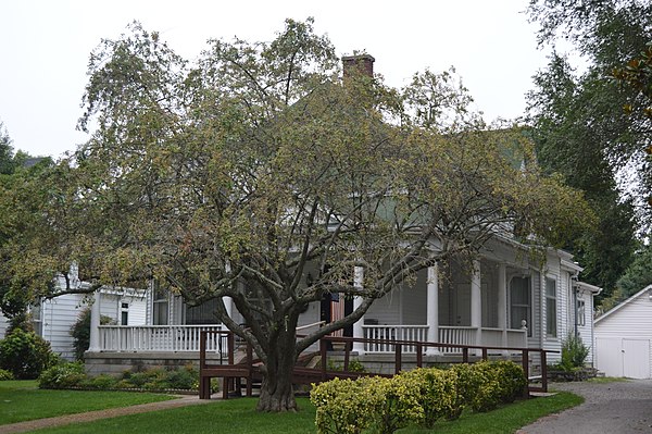 Morrow's house in Somerset