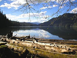 Mt Rainier dari Packwood Lake.jpg