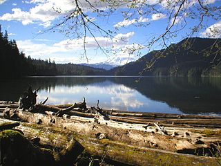 Packwood Lake Body of water