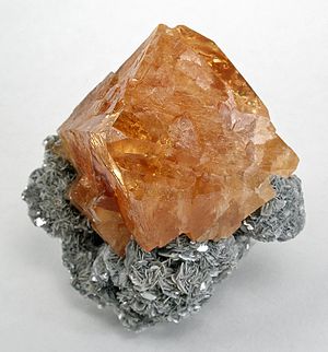 Muscovite-Scheelite-tch11a.jpg