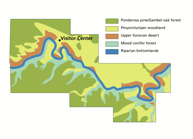 File:NPS walnut-canyon-vegetation-map.gif