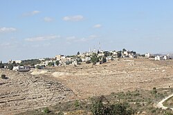 NabiSalih7770.JPG